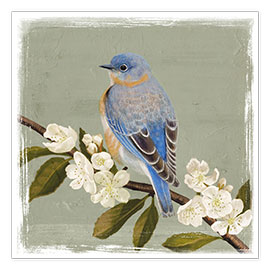 Wall print  Bird on a branch i - Victoria Borges
