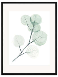 Gerahmter Kunstdruck Silberdollar II