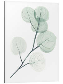 Magnettafel Silberdollar II