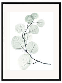 Gerahmter Kunstdruck Silberdollar I