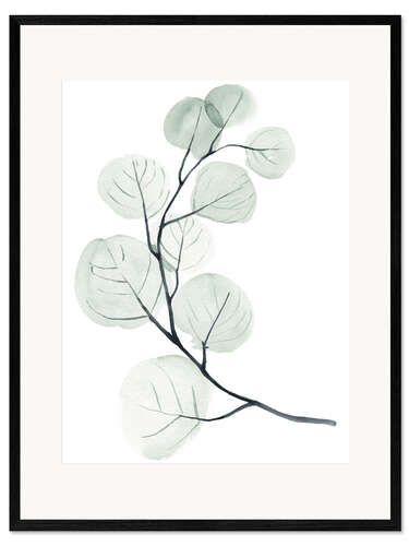 Framed art print Silver dollar I