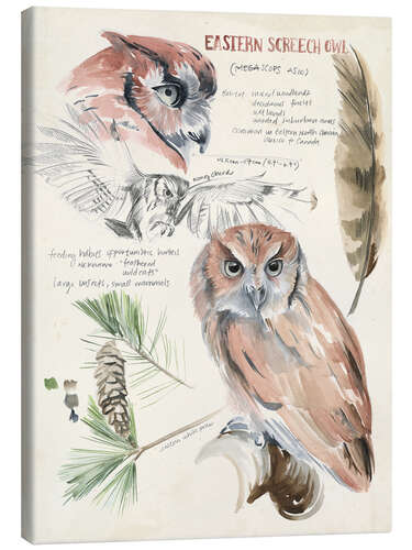 Canvas print Owl and pine