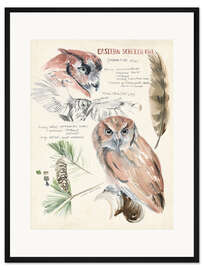 Gerahmter Kunstdruck Eule und Kiefer (englisch)