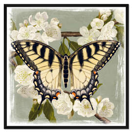 Gerahmter Kunstdruck Schmetterling auf einem Zweig I