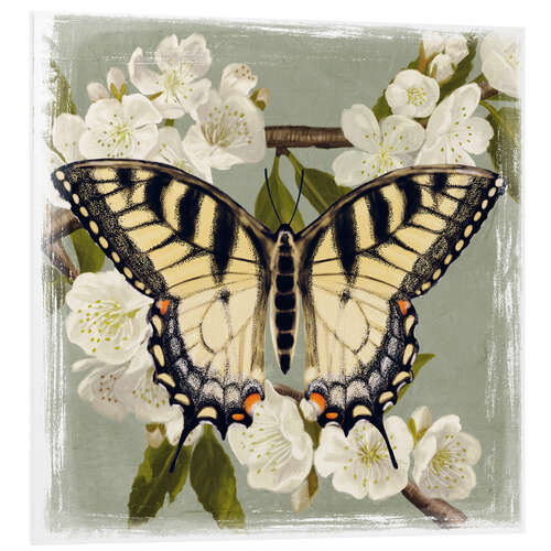 Tableau en PVC Papillon sur une branche I