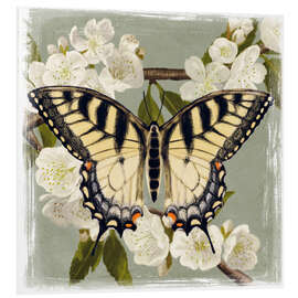 Foam board print Butterfly on a branch i