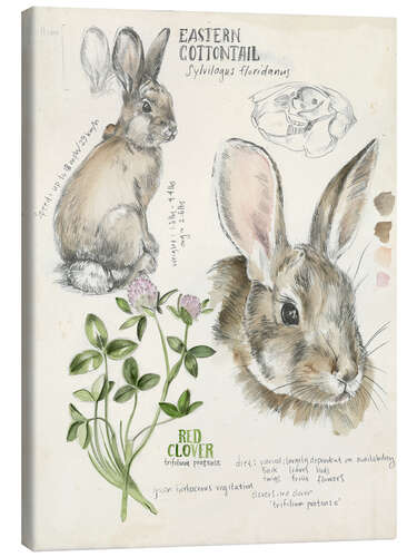 Canvas print Bunny and clover