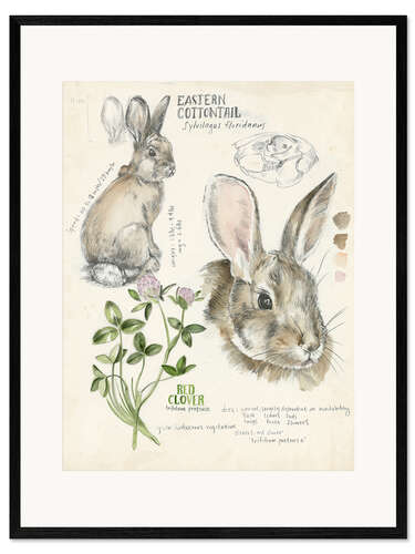 Framed art print Bunny and clover