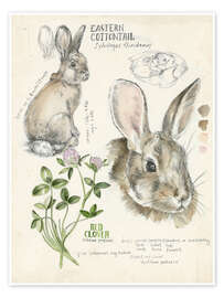 Wall print Bunny and clover - Jennifer Parker