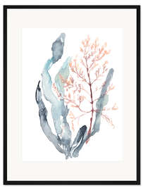 Gerahmter Kunstdruck Süßer Seetang II