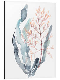 Magnettafel Süßer Seetang II