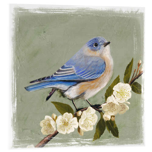 Tableau en verre acrylique Oiseau sur une branche II