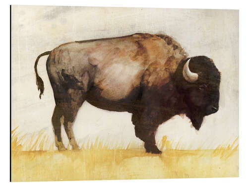 Aluminium print Bison II