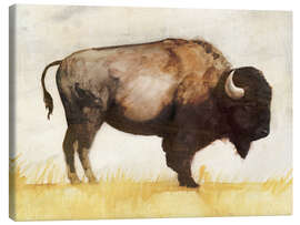 Canvas print Bison II