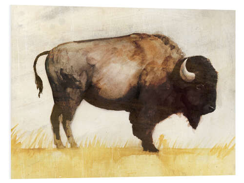 Foam board print Bison II