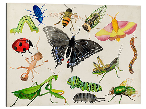 Cuadro de aluminio El mundo de los insectos.