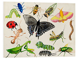 Foam board print The world of insects