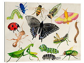 Gallery print The world of insects