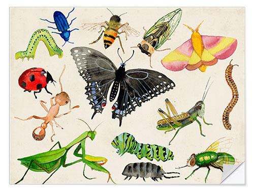 Wall sticker The world of insects