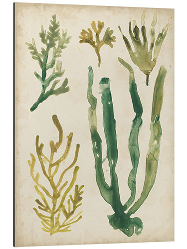 Aluminium print Vintage Seagrass I