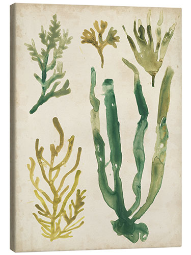 Canvastavla Vintage Seagrass I