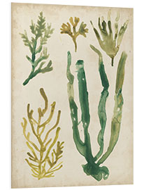 Foam board print Vintage Seagrass I