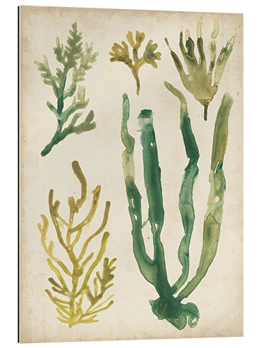 Gallery print Vintage Seagrass I