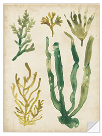 Wall sticker Vintage Seagrass I