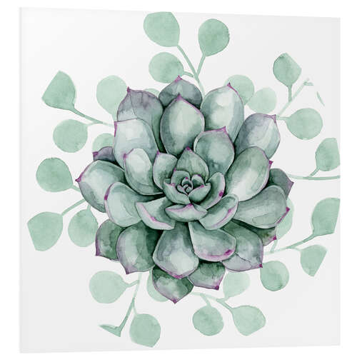 Print på skumplade Succulent collection B