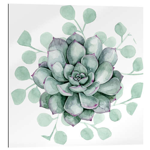 Gallery print Succulent collection B