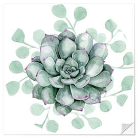 Selvklebende plakat Succulent collection B