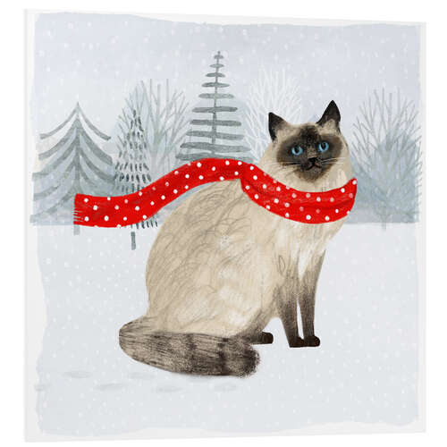 Foam board print Cat with scarf