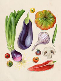 Magnettafel Gemüsegarten I