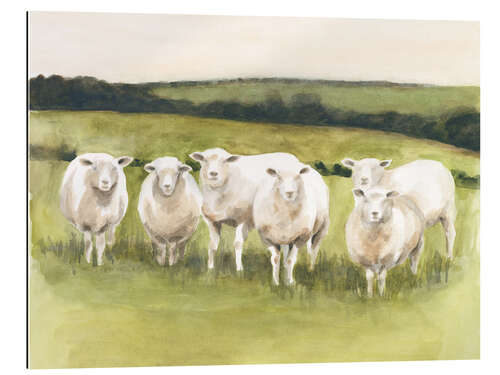 Galleriprint Sheep in the pasture