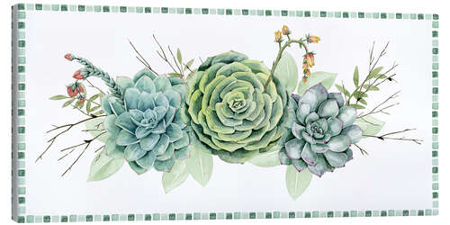 Tableau sur toile Collection de succulentes D