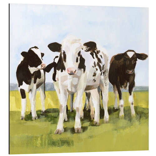 Aluminium print Cows in the pasture I