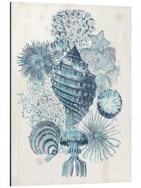 Magnettafel Vintage Muscheln I