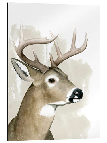 Gallery print Woodland Animals II