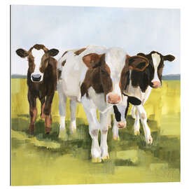 Quadro em plexi-alumínio Vacas no pasto II