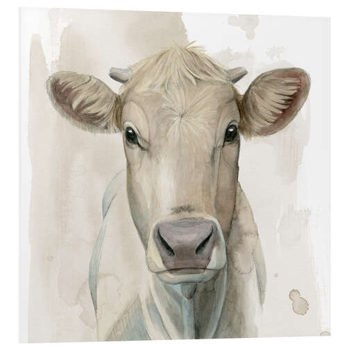 Foam board print Cattle Portrait I