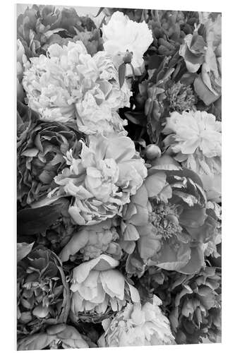 Foam board print Peonies Black and White