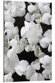 Magnettafel Weiße Pracht auf Schwarz