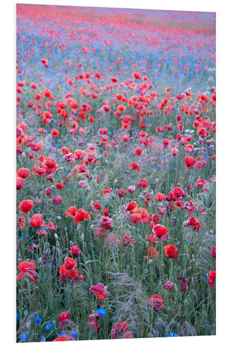 PVC print Poppy seed HEAVEN