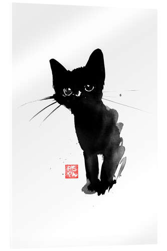 Acrylic print Black Kitten