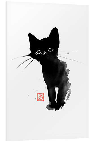 Foam board print Black Kitten