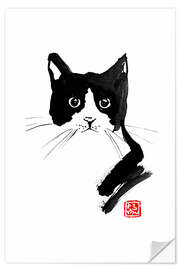 Wall sticker Cat black and white