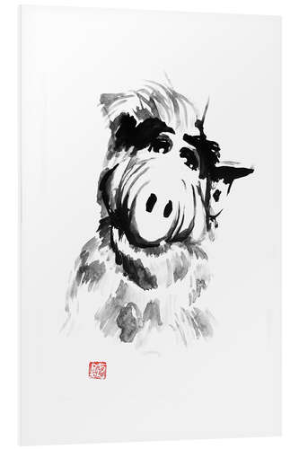 PVC print Alf