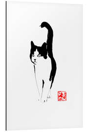 Aluminium print Straycat