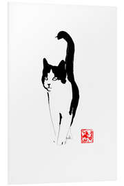 Foam board print Straycat