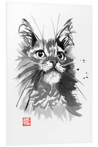 Foam board print Hairy cat